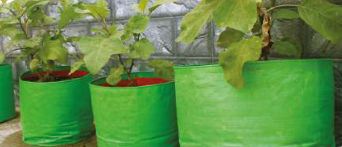 Grow Bags-1
